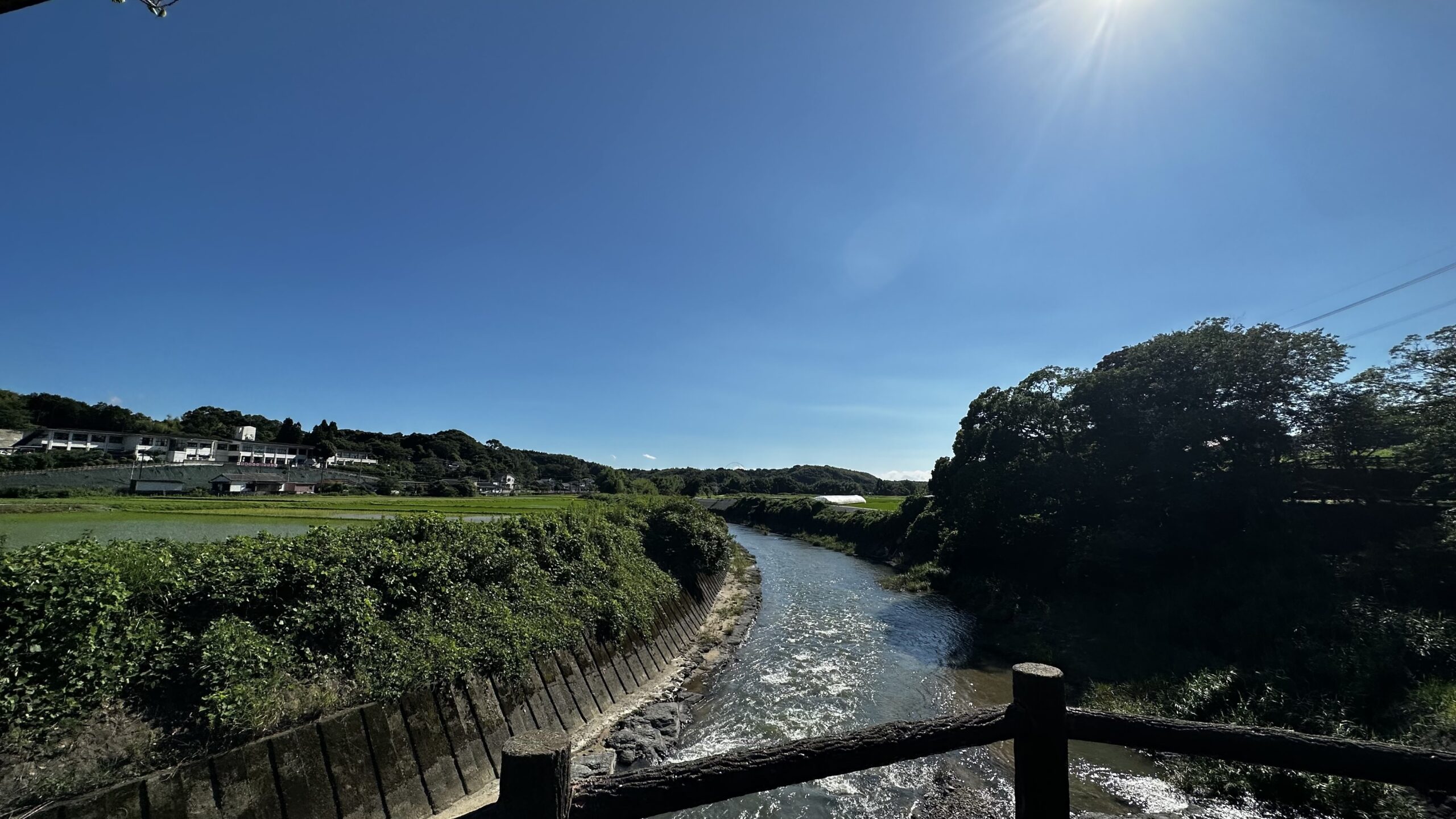 川の景色